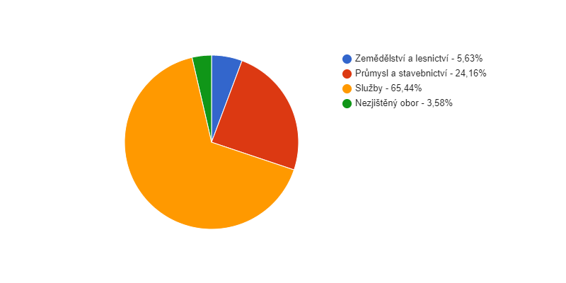 Struktura podnikatelských subjektů podle odvětví v obci Šluknov v roce 2018
